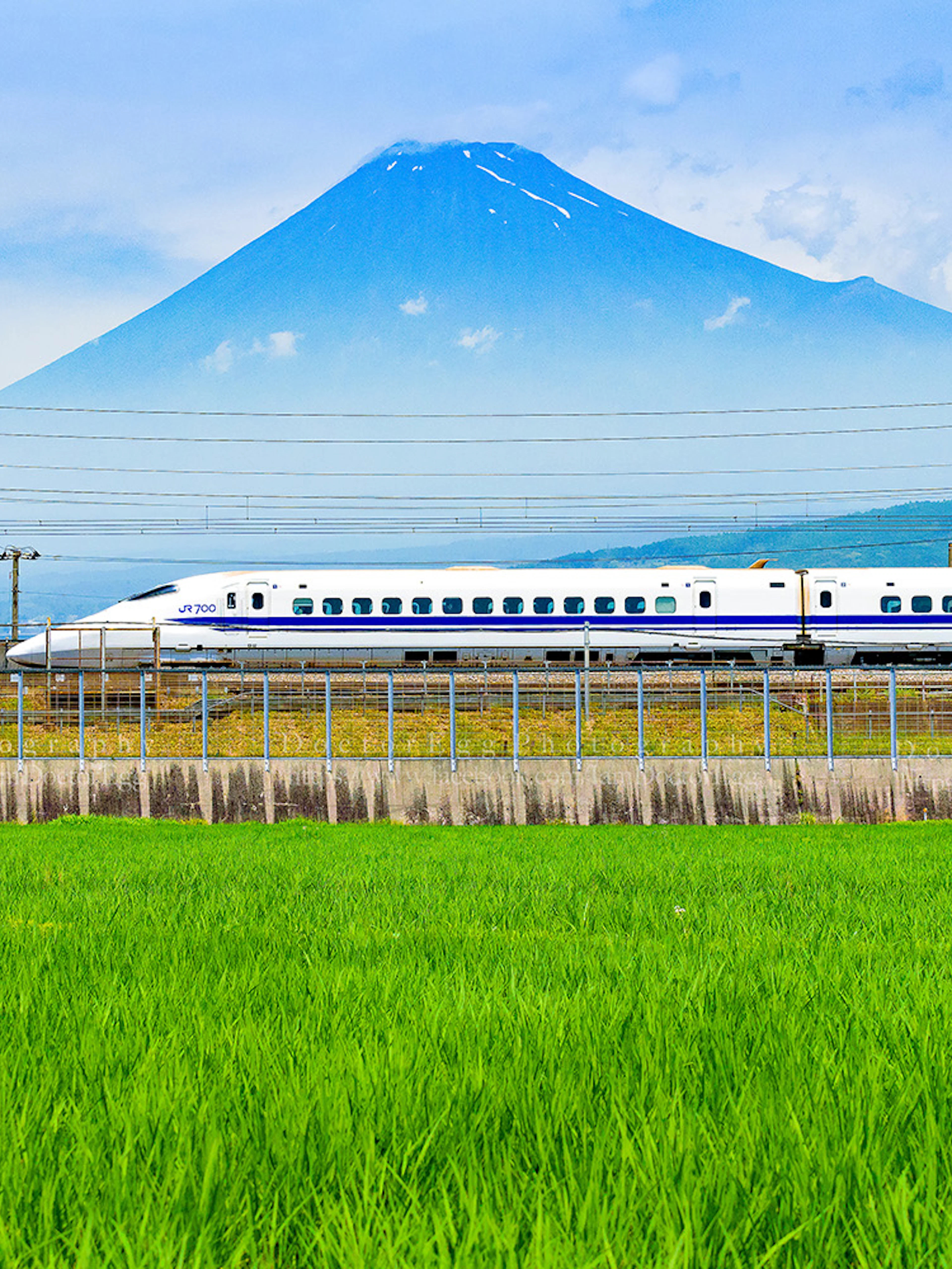 Bullet train passing by rice fields with Mount Fuji in the background, Fuji City, Shizuoka, Japan.
