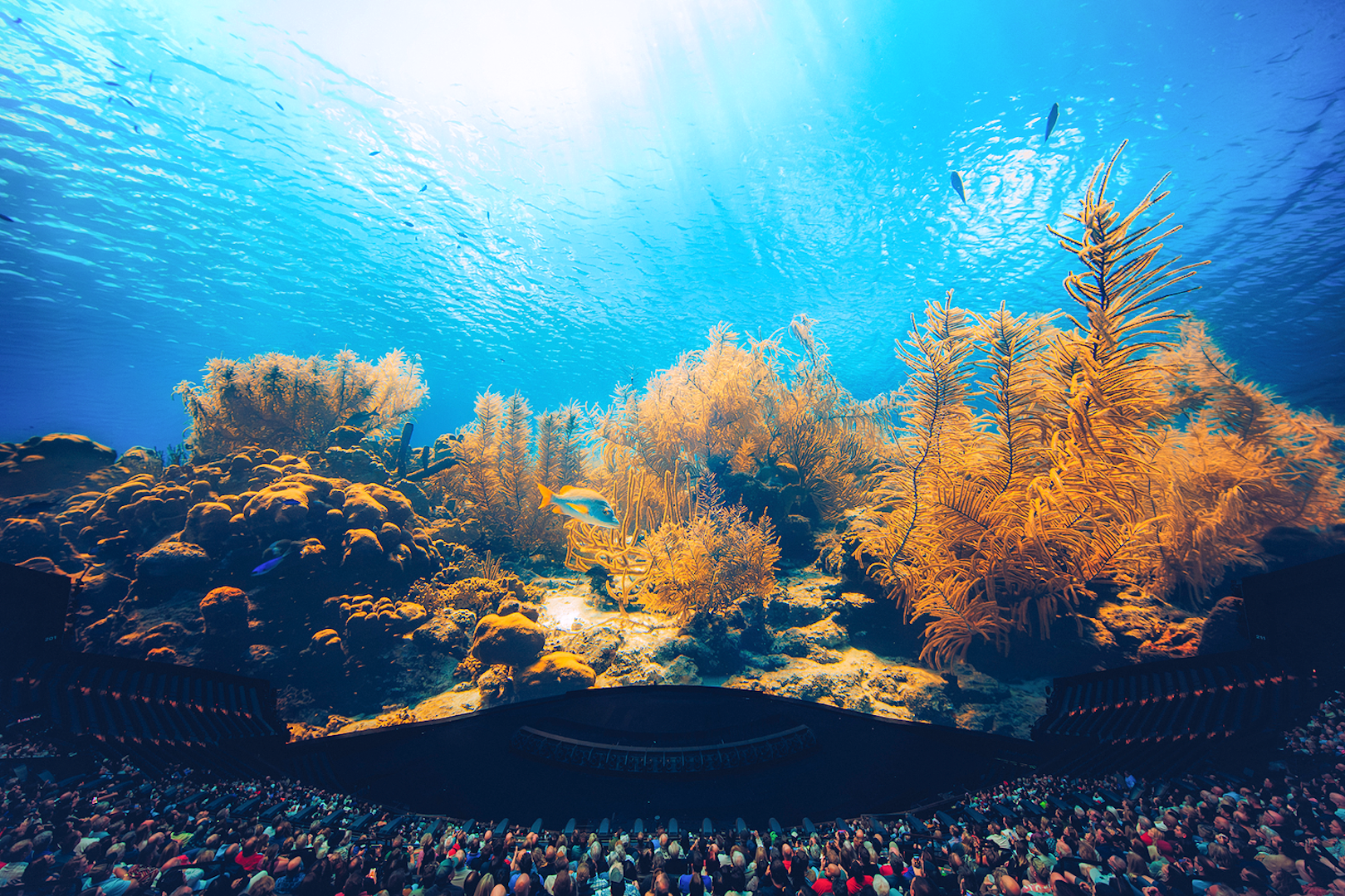 Underwater scene projected at Sphere show, Las Vegas, with audience viewing coral reef.