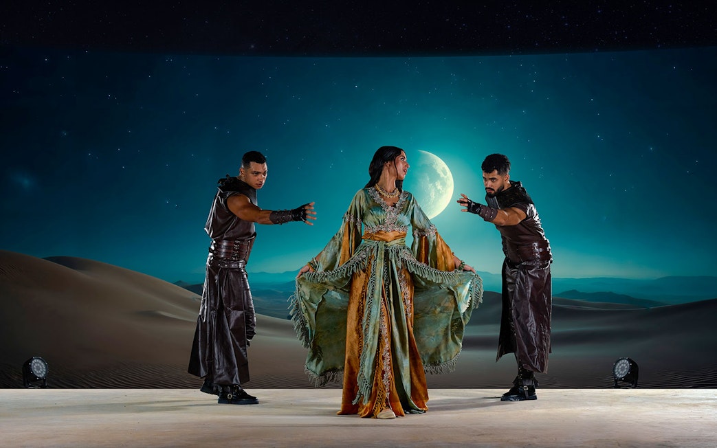 Performers in traditional attire at Noble Camp Desert Safari under a moonlit sky.