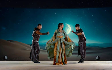 Performers in traditional attire at Noble Camp Desert Safari under a moonlit sky.