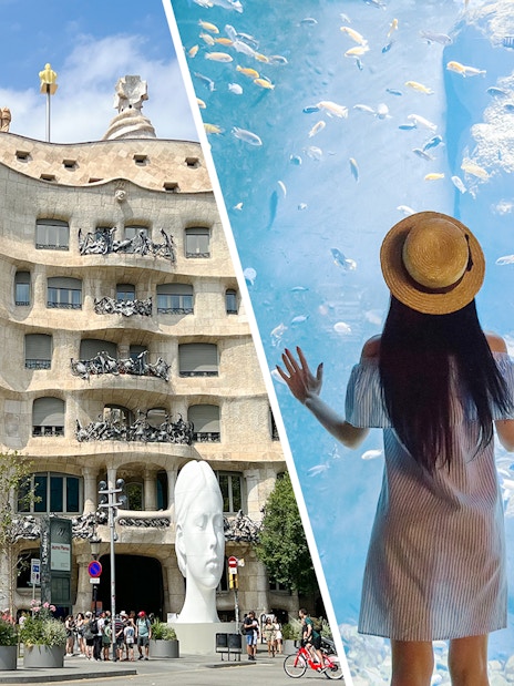 Casa Mila facade and woman viewing fish in aquarium, Barcelona tour combo.