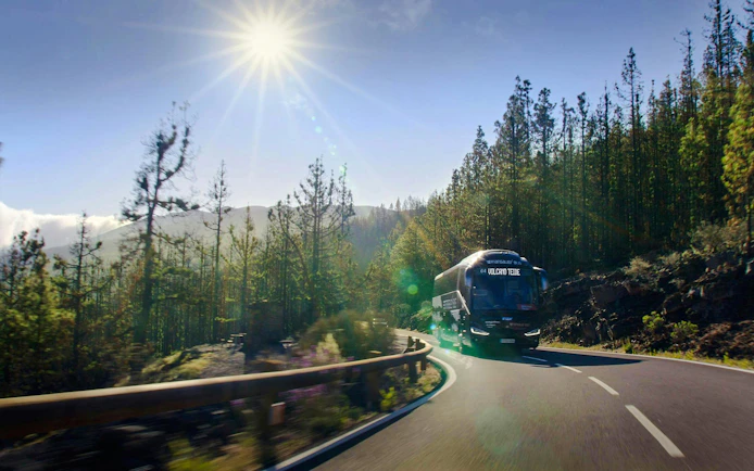 Coach traveling through forested road towards Mount Teide under bright sun.