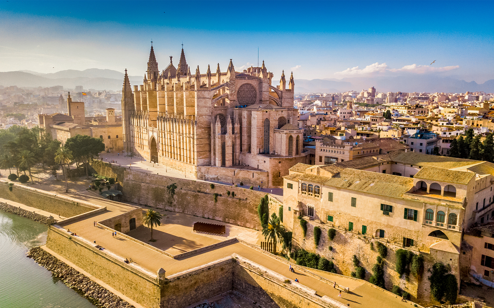 Aerial view of Palma Cathedral in Palma de Mallorca, Spain.