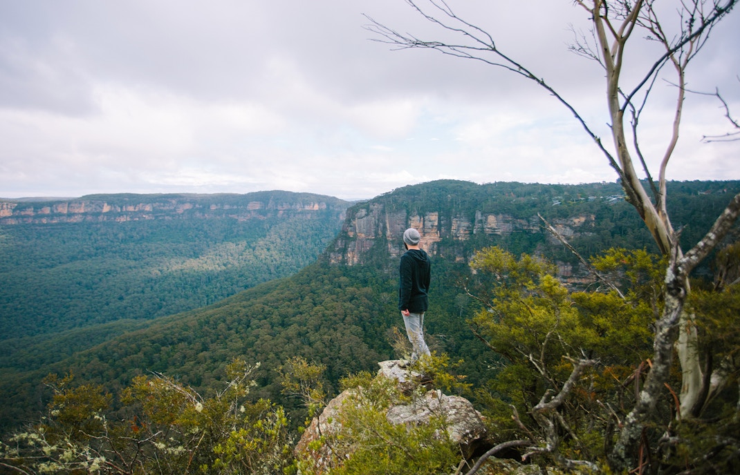 Man standing at a viewpoint in the Blue Mountains