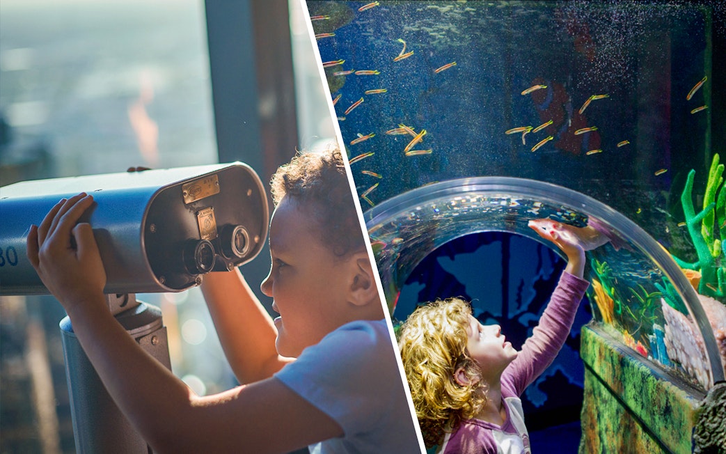 Child using telescope at Melbourne Skydeck and exploring SEA LIFE Aquarium tunnel.