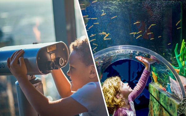 Combo: Melbourne Skydeck + SEA LIFE Aquarium Tickets