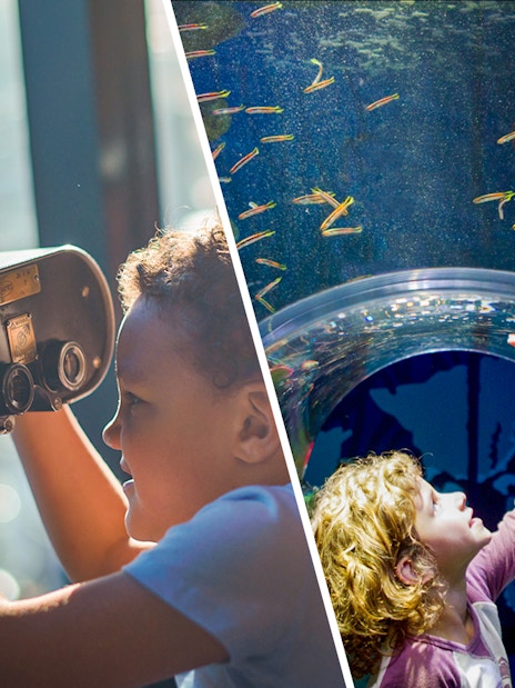 Child using telescope at Melbourne Skydeck and exploring SEA LIFE Aquarium tunnel.