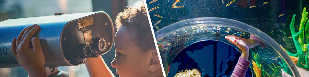 Combo: Biglietti per il Melbourne Skydeck e per l'acquario SEA LIFE