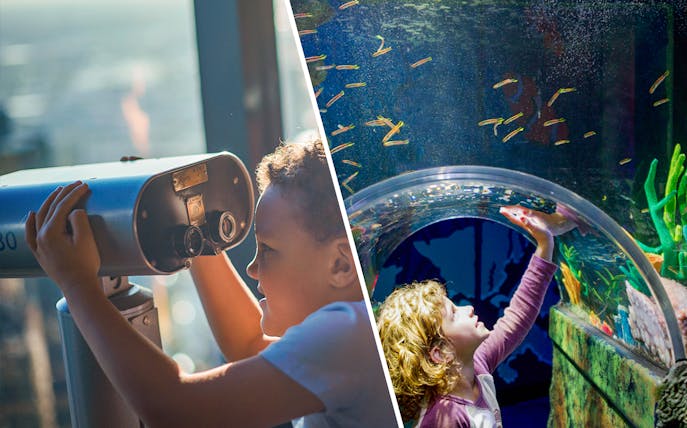 Child using telescope at Melbourne Skydeck and exploring SEA LIFE Aquarium tunnel.