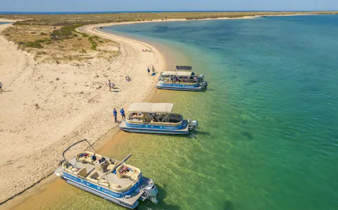 Boats docked on sandy shore of Deserta Island during Ria Formosa tour.