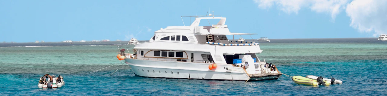 Dolphin House: Crociera VIP con Snorkeling, Buffet, Massaggio & Trasferimenti