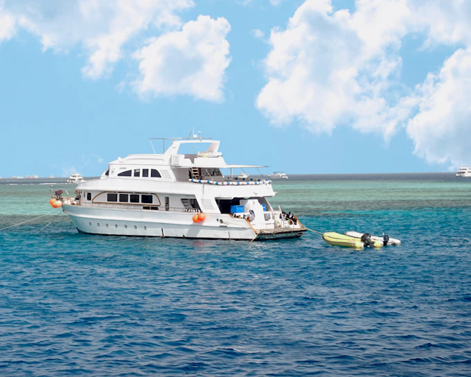 Dolphin House: VIP Cruise with Snorkeling, Buffet, Massage & Transfers