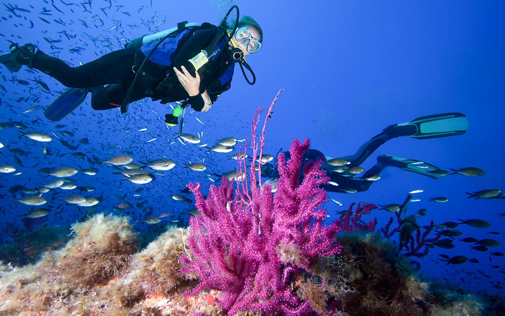 Scuba divers exploring coral reef with fish in Tanjung Benoa, Bali.