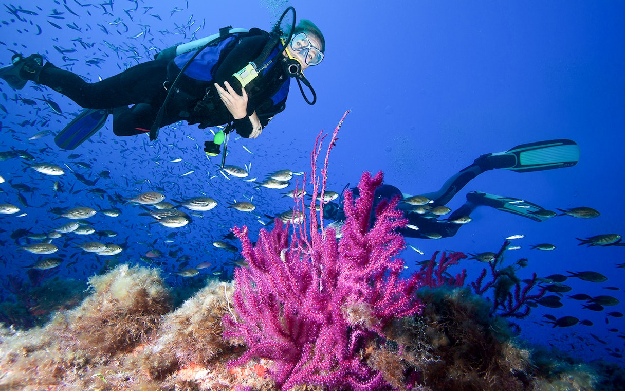 Scuba divers exploring coral reef with fish in Tanjung Benoa, Bali.