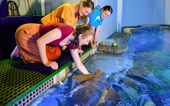 Visitors engaging with marine life at Cairns Aquarium touch pool.