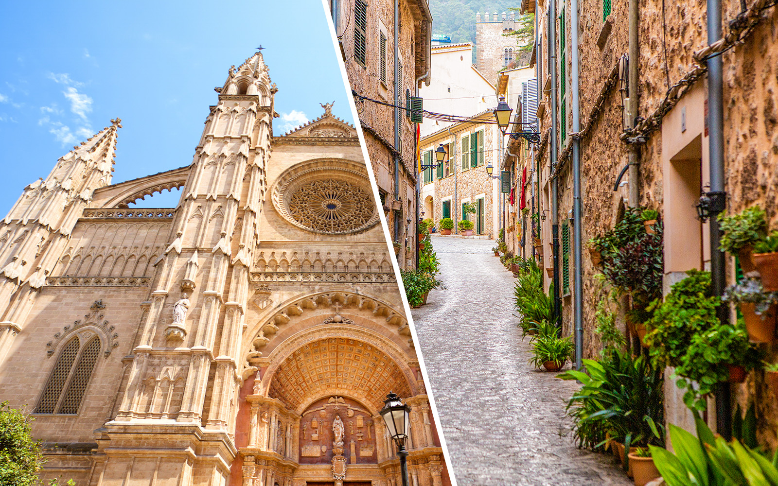 catedral palma de mallorca