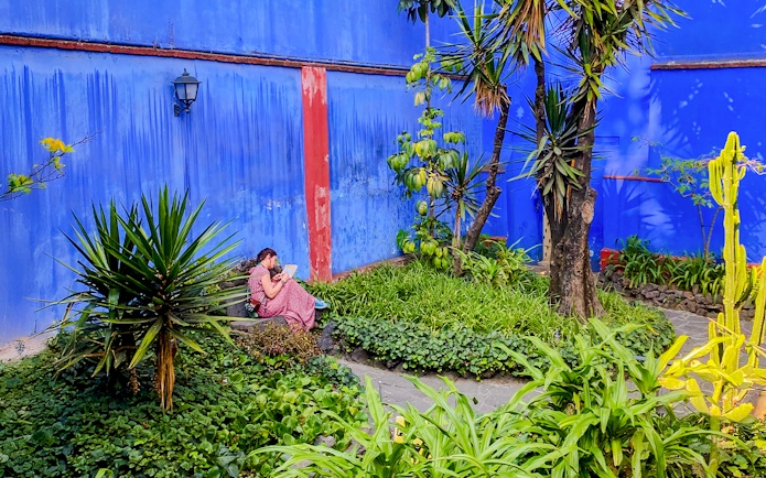 Frida Kahlo Museum garden with blue walls and lush greenery.