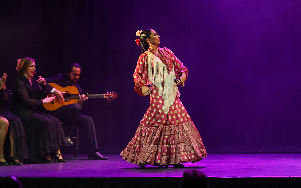 Teatro Flamenco Madrid - Emotionen zeigen — 4