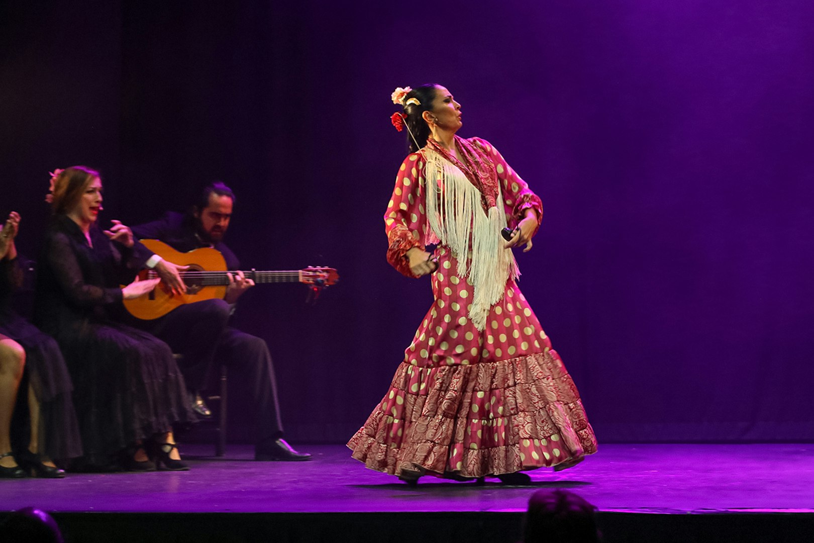 Flamenco dancer performing on stage with guitarist and singer, Emociones - Espectáculo flamenco.