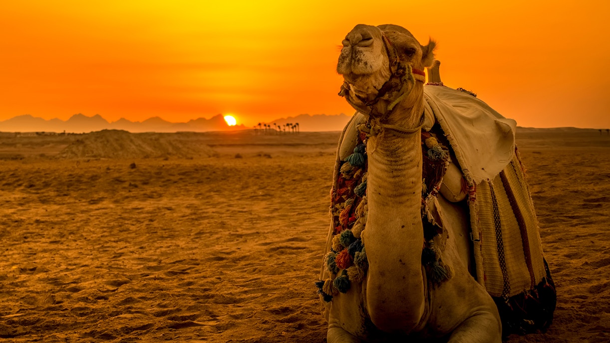 Hurghada Travel Essentials