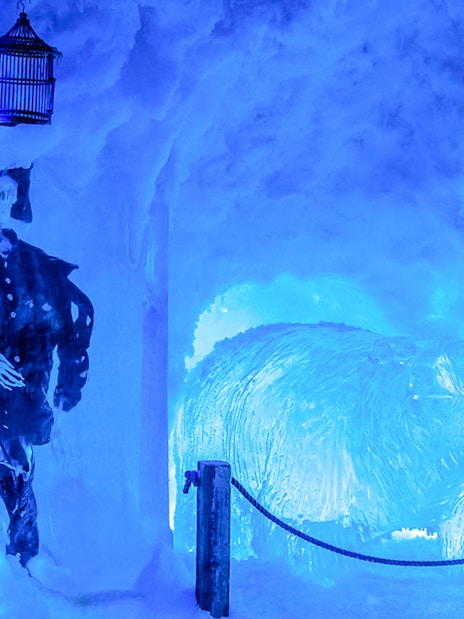Ice sculptures of a pirate and polar bear at Xtracold Icebar experience.