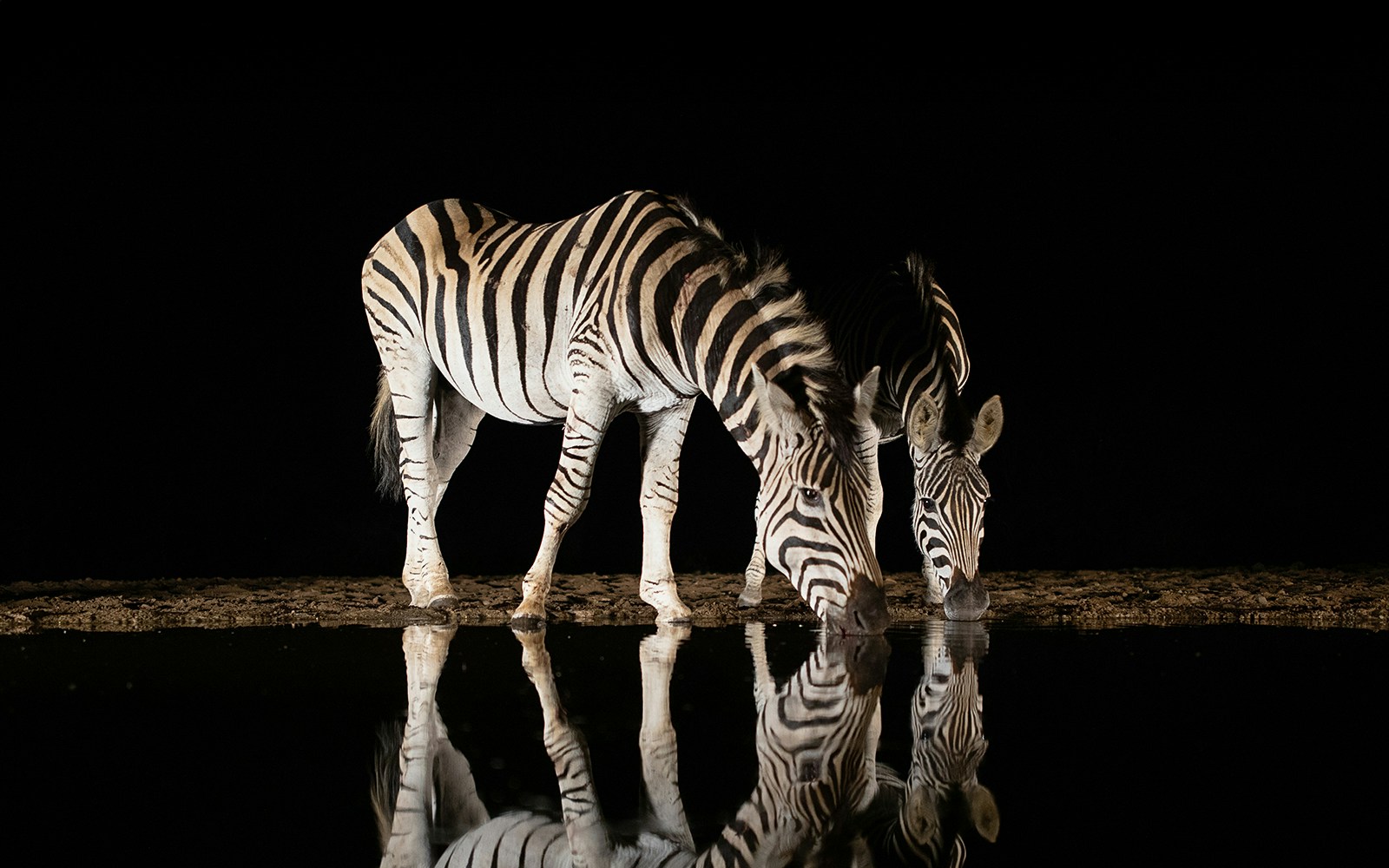Chiang Mai Night Safari Park