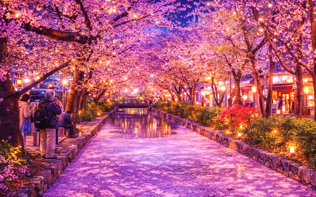 Tokyo cherry blossoms at night along a lit canal during sakura season.