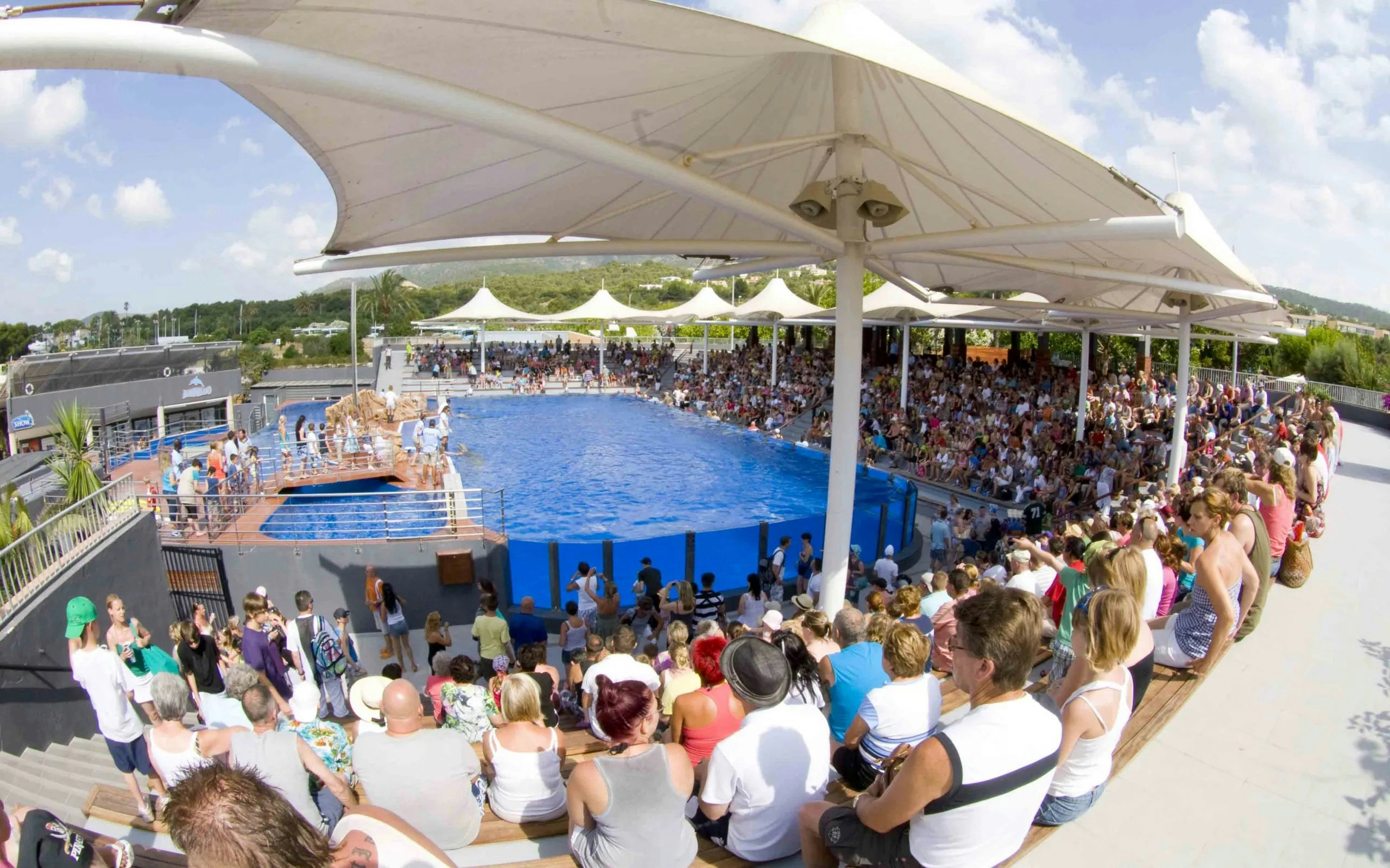 Crowd watching a dolphin show at Marineland Mallorca with panoramic view.