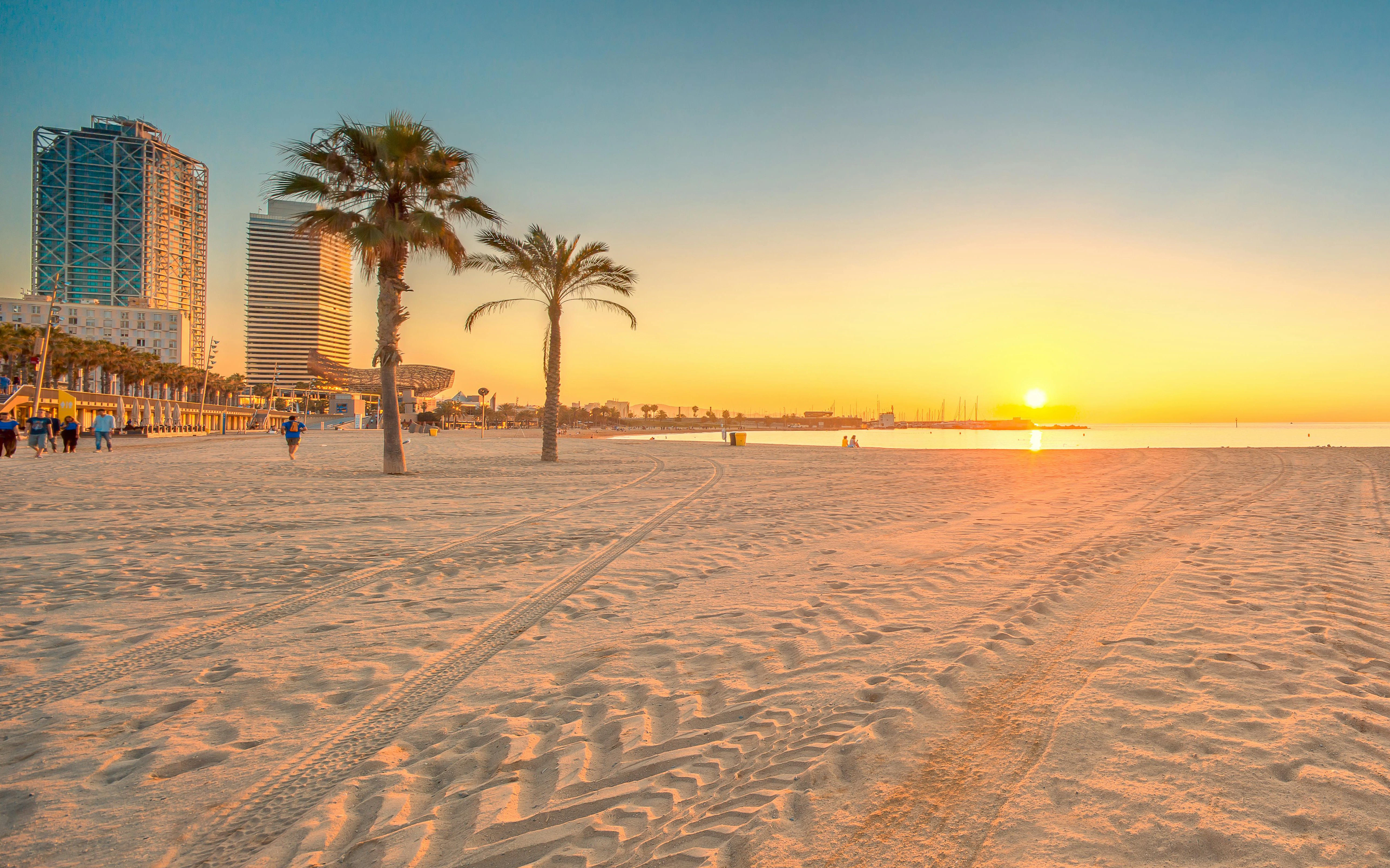 Barceloneta Beach in Barcelona at sunrise with palm trees and city skyline.
