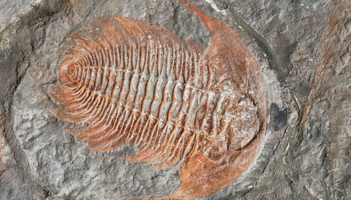 Prague National Museum - Natural Science Exhibitions