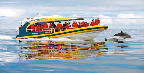 Tasman Island