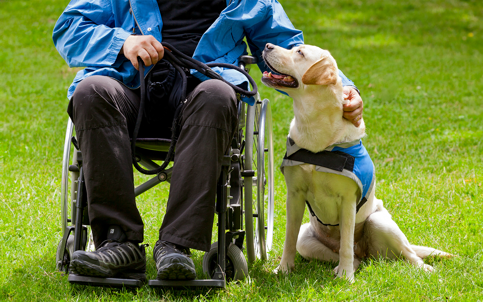 Un perro guía conduciendo a un visitante en el Museo del Louvre de París, mostrando las características de accesibilidad del museo para visitantes con dificultades visuales.
