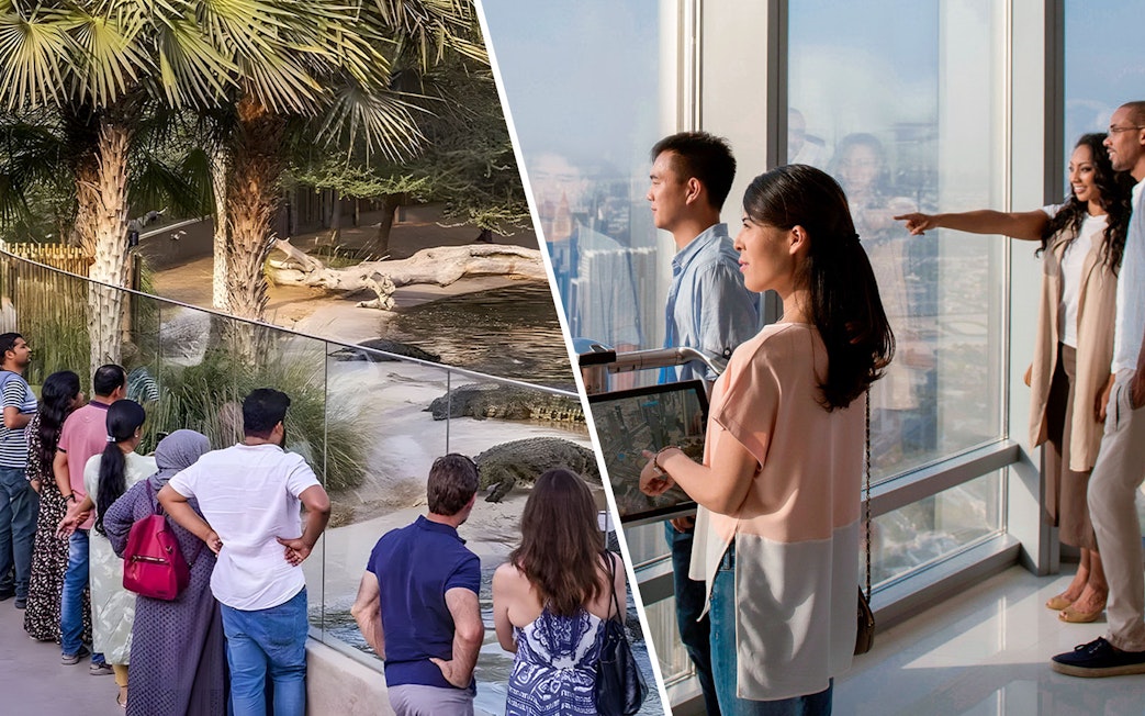 Visitors observing crocodiles at a zoo and tourists enjoying a city view from a skyscraper observation deck.
