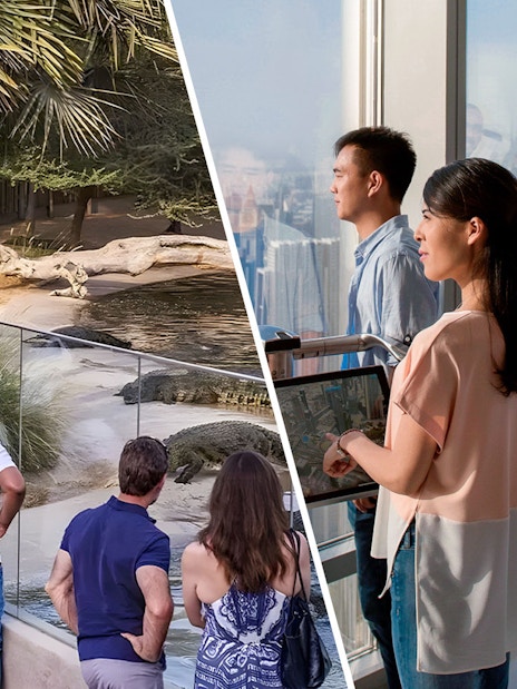 Visitors observing crocodiles at a zoo and tourists enjoying a city view from a skyscraper observation deck.