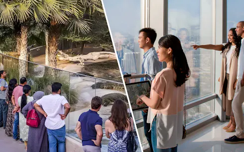 Visitors observing crocodiles at a zoo and tourists enjoying a city view from a skyscraper observation deck.