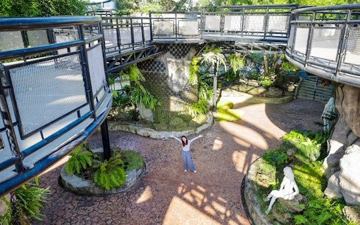 Walkway and greenery at Flower Land Pattaya with a person enjoying the view.