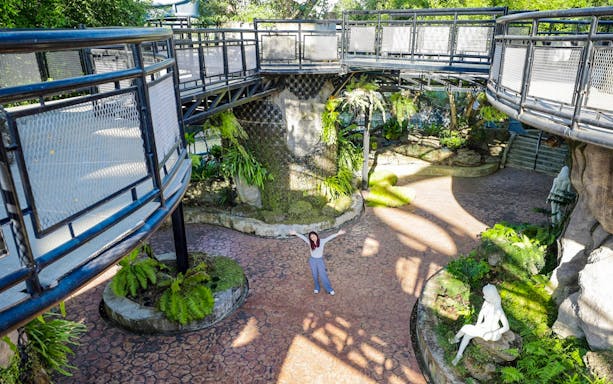Walkway and greenery at Flower Land Pattaya with a person enjoying the view.