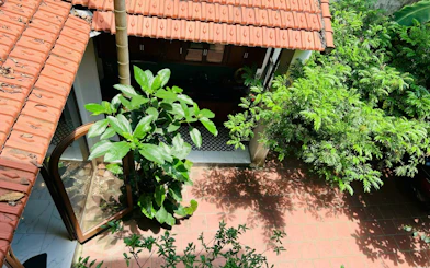 Courtyard view of a traditional Vietnamese cooking class venue with lush greenery.