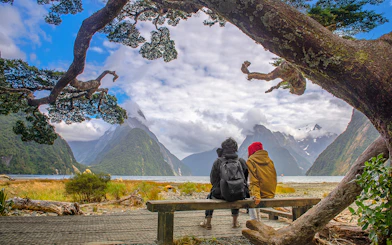 Couple sitting on a bench overlooking Milford Sound with mountains and water, Te Anau departure.