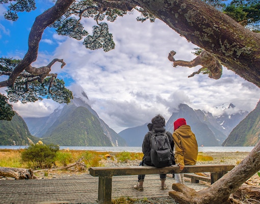 tourists sitting near a hiking track in milford sound