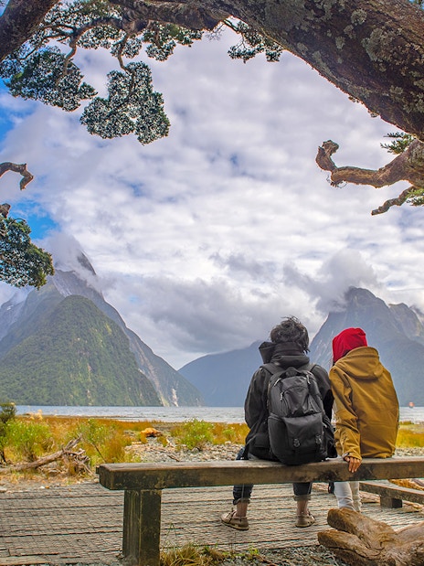 Couple sitting on a bench overlooking Milford Sound with mountains and water, Te Anau departure.