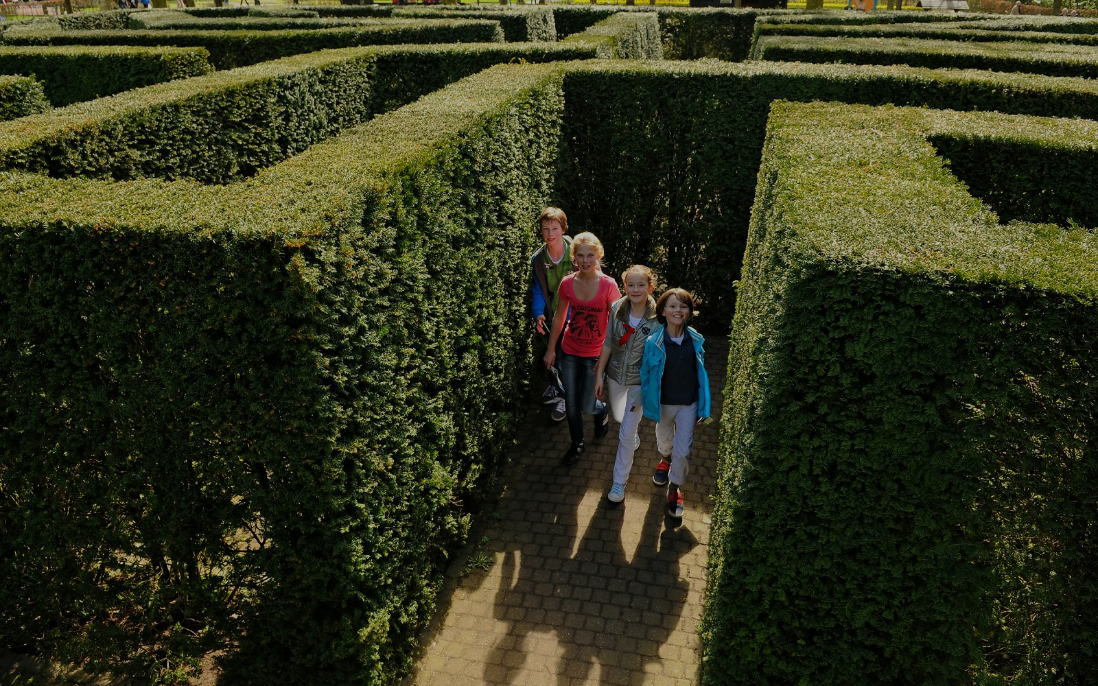 Visitors exploring the hedge maze at Keukenhof Gardens, Netherlands.