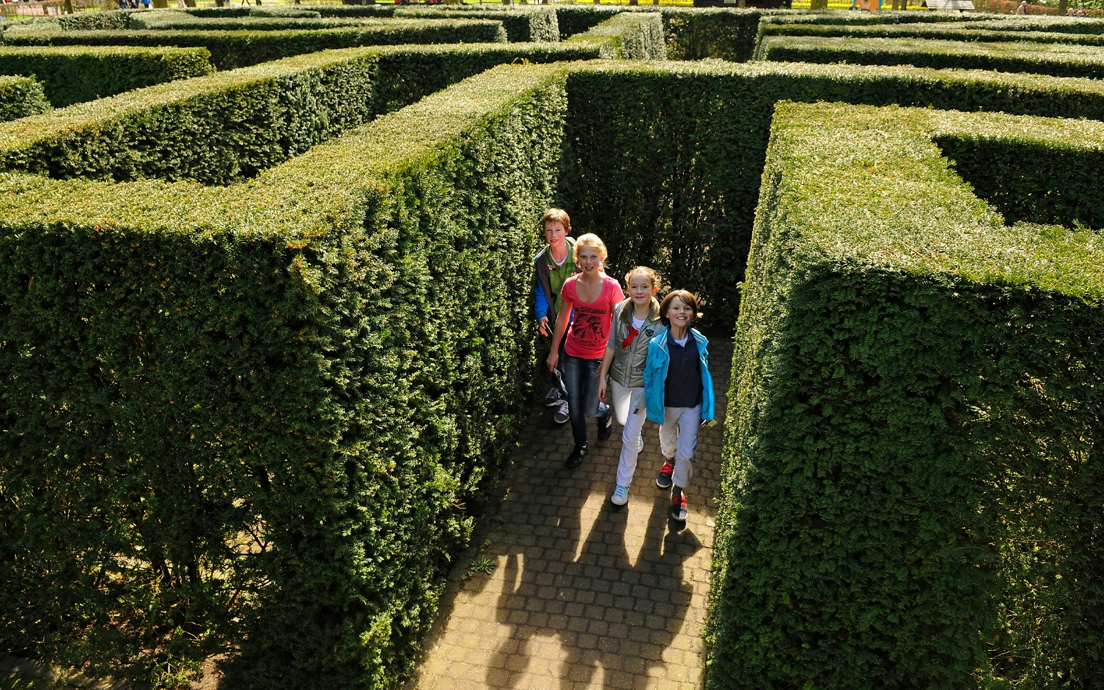 keukenhof activities