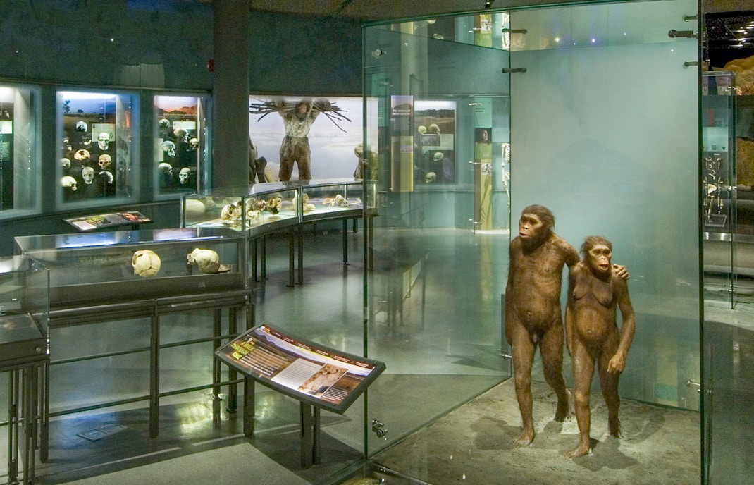 Smithsonian Hall of Human Origins exhibit, Washington D.C., showcasing early human evolution displays.