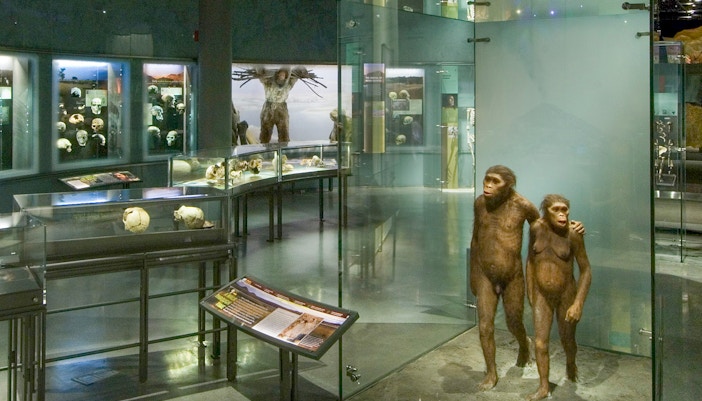 American Museum of Natural History