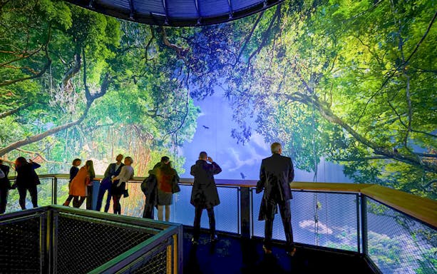 Visitors viewing panoramic rainforest exhibit at Panometer Dresden.