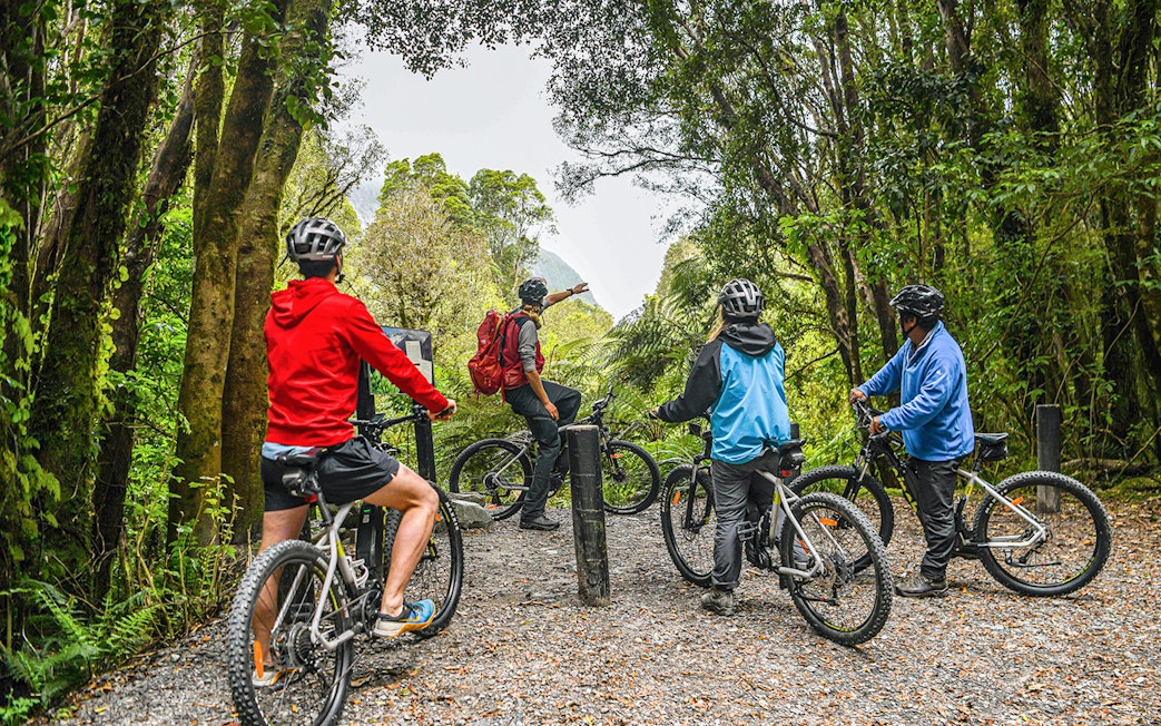 Tour guide leading group on e-bikes through Fox Glacier Valley forest trail.