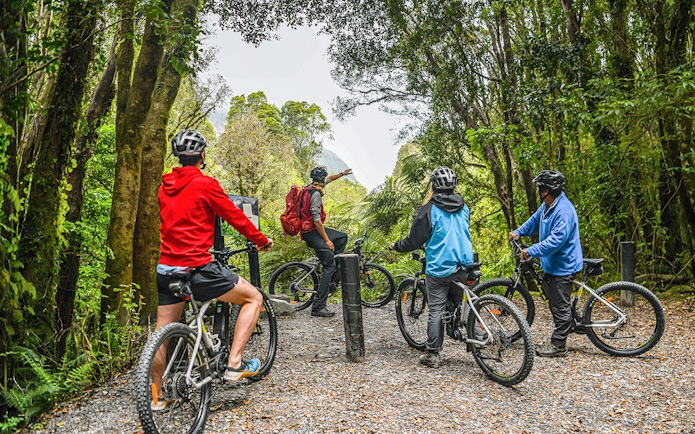 Tour guide leading group on e-bikes through Fox Glacier Valley forest trail.