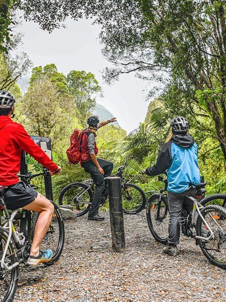Tour guide leading group on e-bikes through Fox Glacier Valley forest trail.