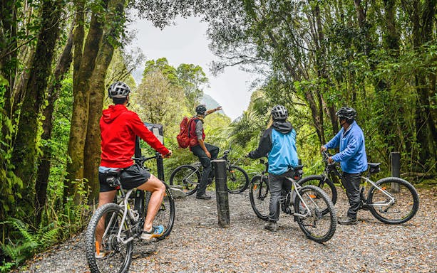 Tour guide leading group on e-bikes through Fox Glacier Valley forest trail.